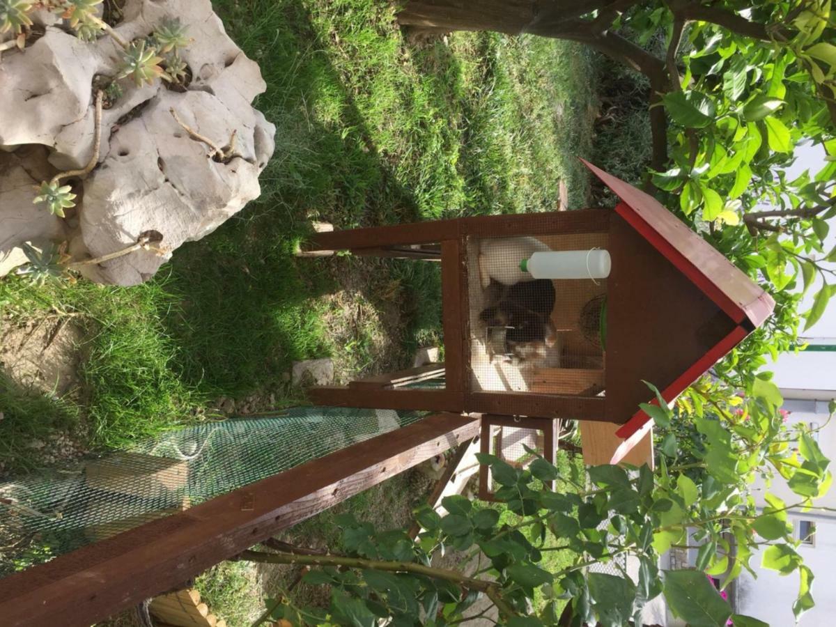 Apartmani Zorica Rab Town Zewnętrze zdjęcie